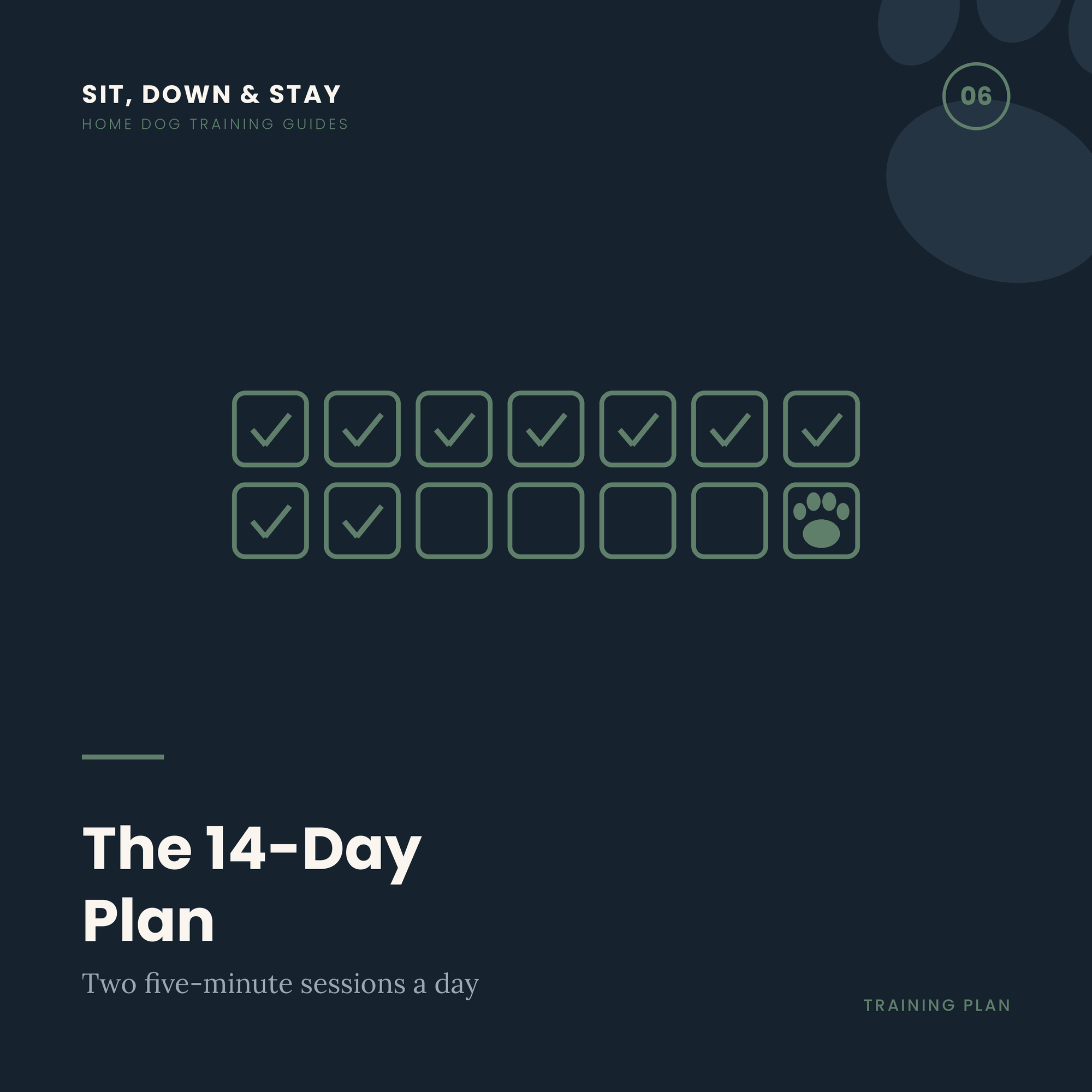 The 14-Day Home Training Plan