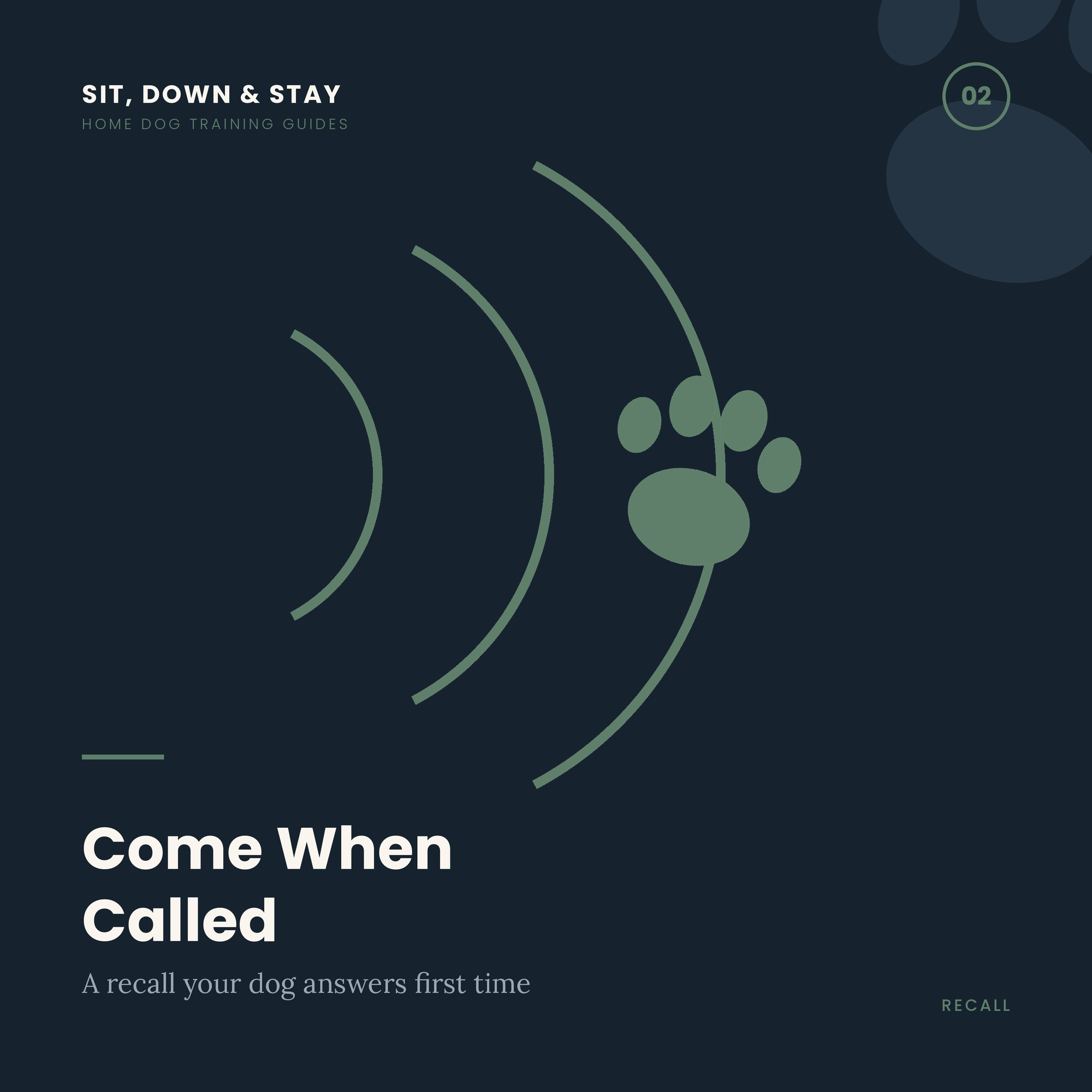 Come When Called: Recall That Actually Works