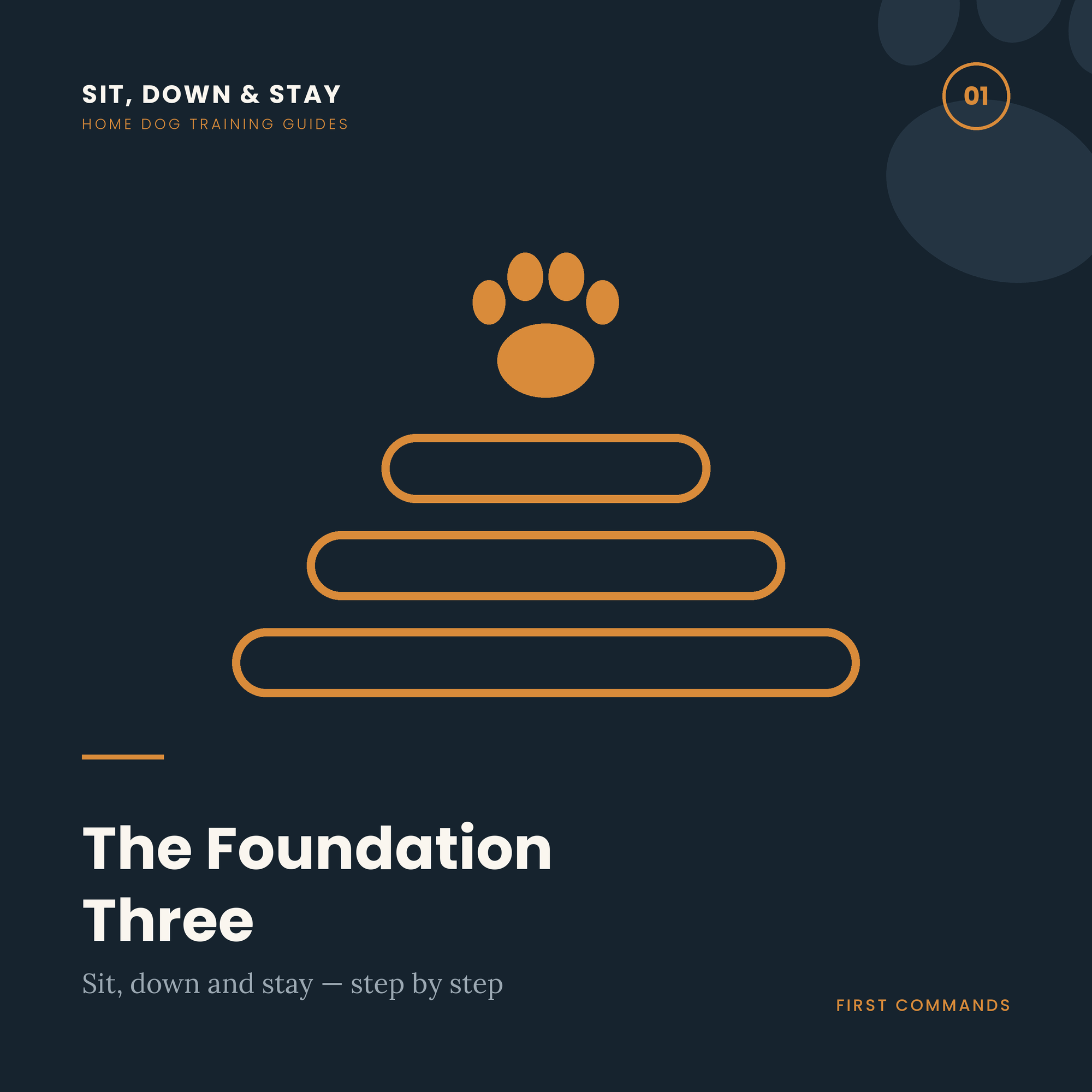 The Foundation Three: Your Dog's First Commands