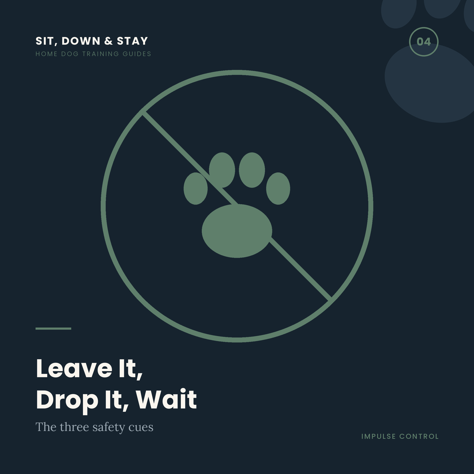 Leave It, Drop It, Wait: Impulse Control