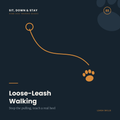 Loose-Leash Walking & Heel
