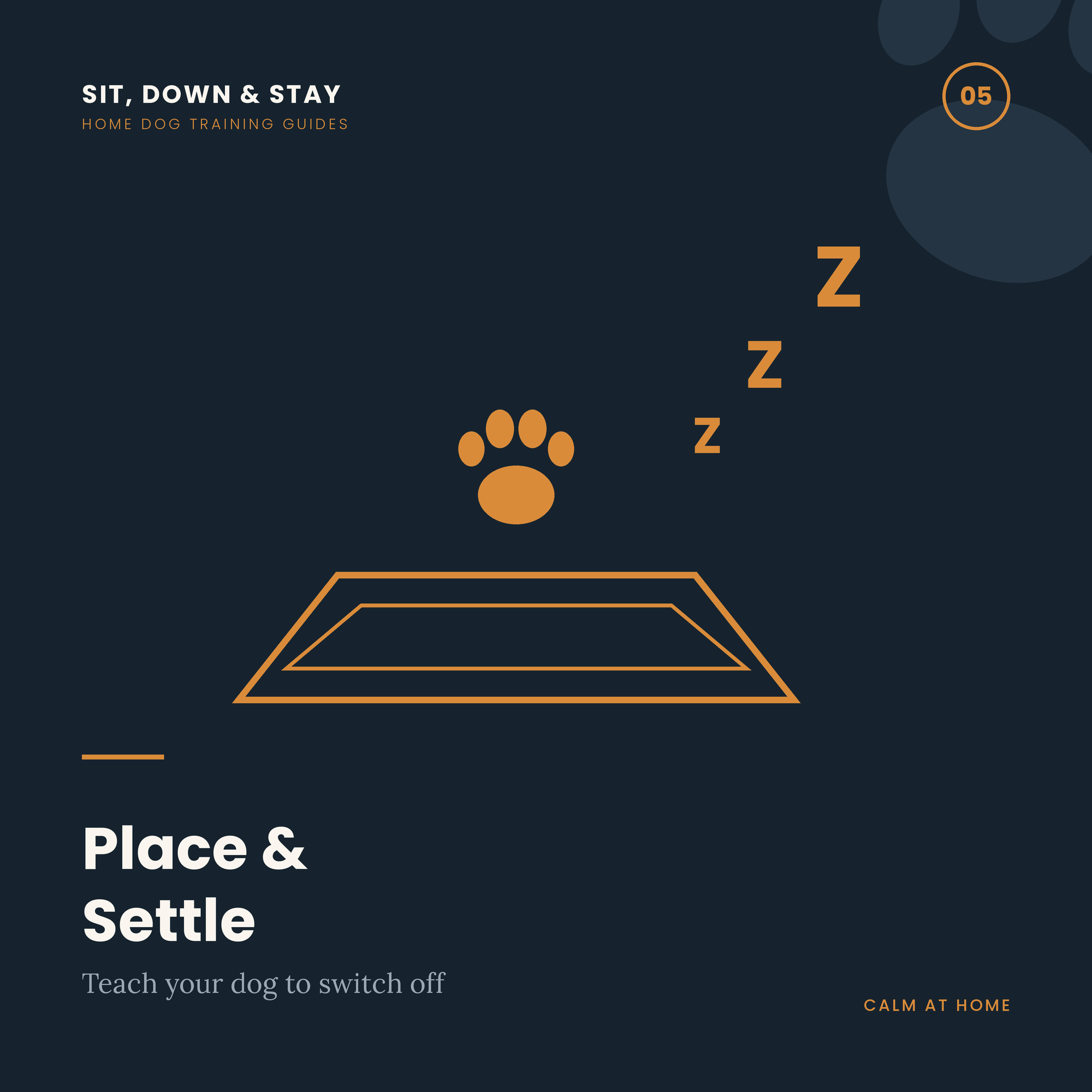 Place & Settle: Calm on Cue